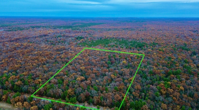 20 +/- Acre Manistee County, MI Woodland Getaway    Discover 20 - Beach Acreage for sale in Free Soil, Michigan on Beachhouse.com