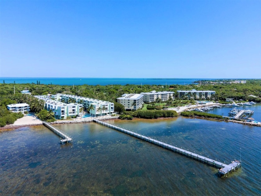 Well priced and spacious!  Plantation by the Sea amenities - Beach Condo for sale in Plantation Key, Florida on Beachhouse.com