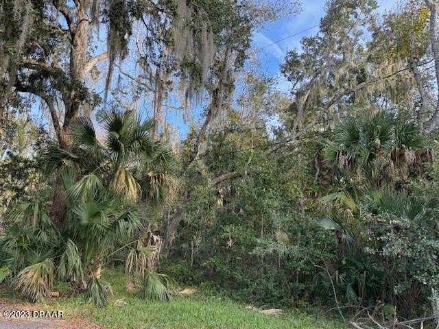 Location is the key! Beautiful 7.7 acres +/-  in desirable New - Beach Acreage for sale in New Smyrna Beach, Florida on Beachhouse.com