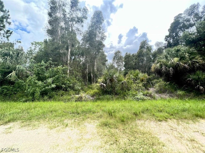 Beautiful Tropical Gulf Acres, a spacious piece of land in - Beach Lot for sale in Punta Gorda, Florida on Beachhouse.com