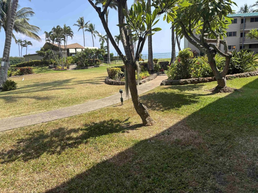 B102 is a ground floor Fee Simple 1 bedroom, 1 bathroom condo - Beach Condo for sale in Kaunakakai, Hawaii on Beachhouse.com