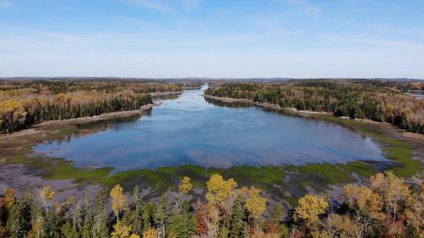 Discover an exceptional private oceanfront retreat set on - Beach Home for sale in Lubec, Maine on Beachhouse.com