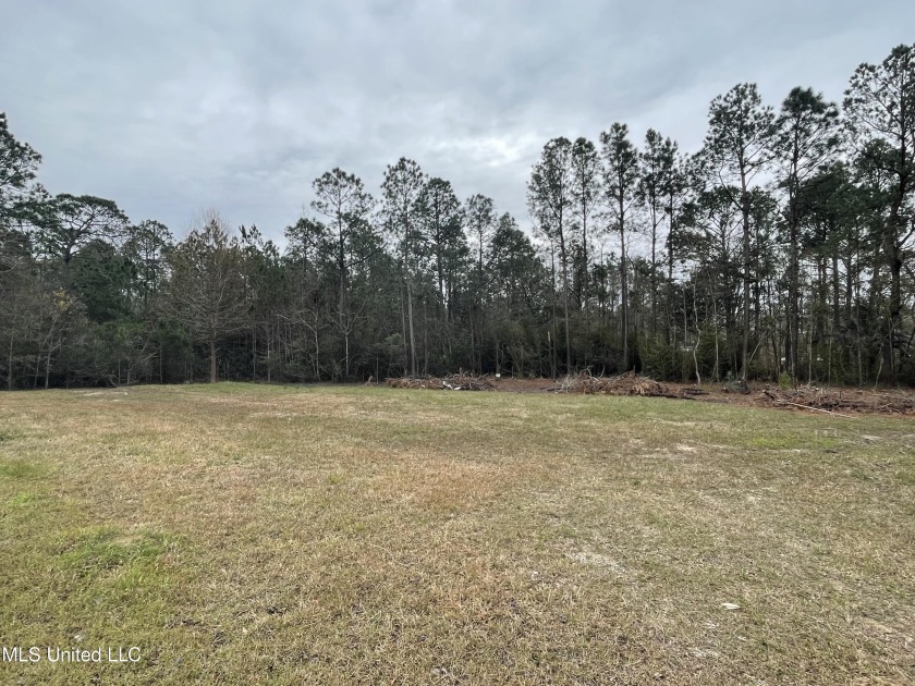 High and Dry! X Flood Zone.. Partially Cleared/ Partially wooded - Beach Lot for sale in Gulfport, Mississippi on Beachhouse.com