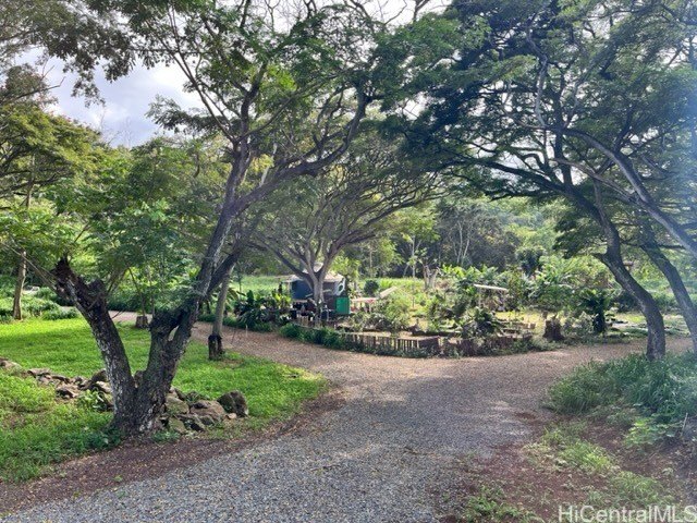Haleiwa Anahulu Stream front with 1.678 acres, fruit trees - Beach Lot for sale in Haleiwa, Hawaii on Beachhouse.com