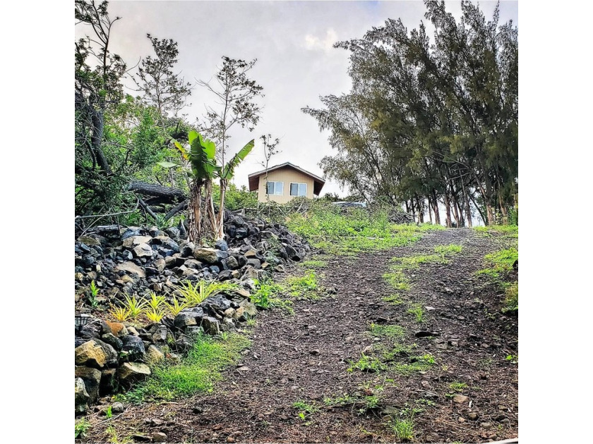 Live off the land and grow your own food with planted mixed - Beach Home for sale in Naalehu, Hawaii on Beachhouse.com