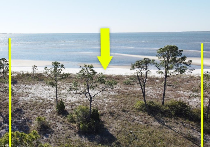 Beautiful 10 + acre Bayfront lot in Hidden Beaches. Build your - Beach Acreage for sale in Carabelle, Florida on Beachhouse.com