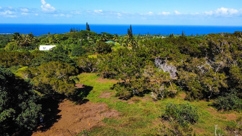 5 separate, fee-simple lots next to Twin Falls on Maui's North - Beach Acreage for sale in Haiku, Hawaii on Beachhouse.com
