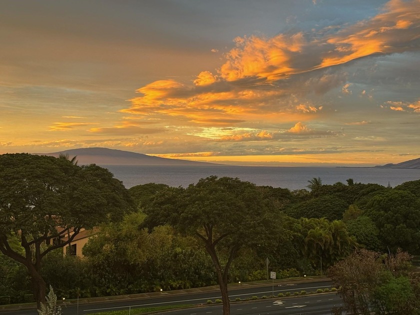 The Pristine Wailea Residence you've been waiting for! - Beach Condo for sale in Kihei, Hawaii on Beachhouse.com