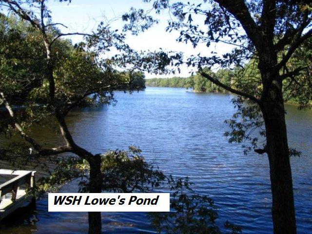 Great views looking over lowes pond. This lot is outside of the - Beach Lot for sale in Heathsville, Virginia on Beachhouse.com