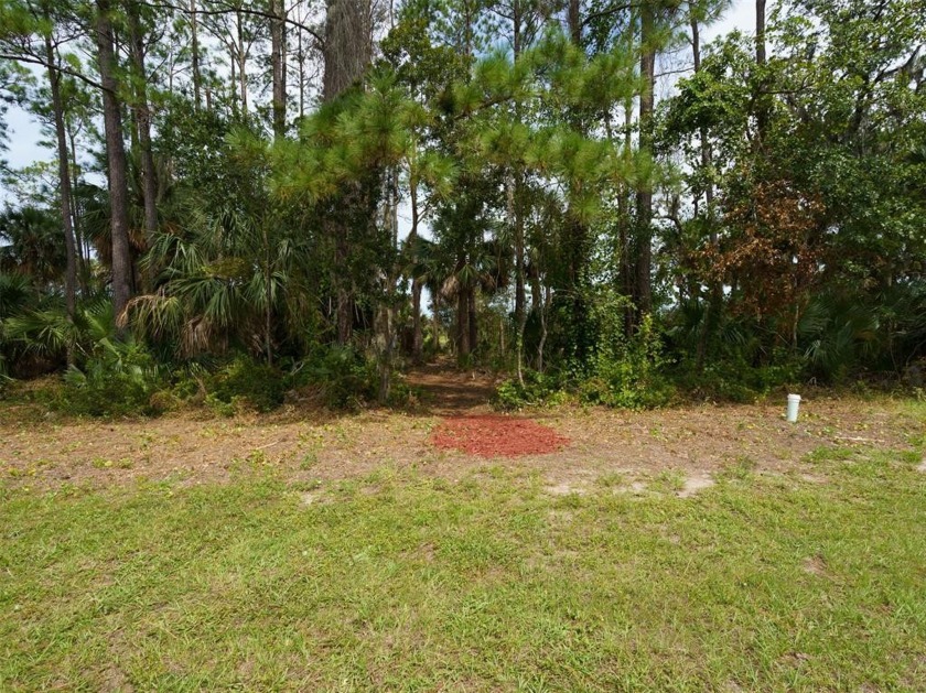 Ready for your dream home, this partially cleared marsh front - Beach Home for sale in Fernandina Beach, Florida on Beachhouse.com