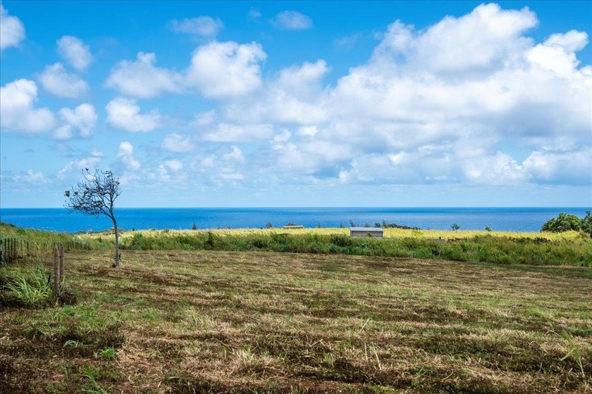 Welcome to your ultimate Maui playground! This exceptional 1.5 - Beach Lot for sale in Haiku, Hawaii on Beachhouse.com