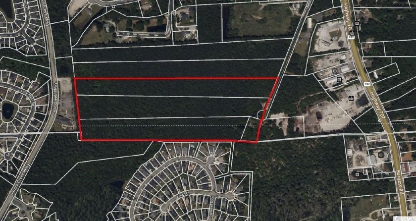 Price Improvement - 32 +/- acres (Survey needed to determine - Beach Acreage for sale in Murrells Inlet, South Carolina on Beachhouse.com