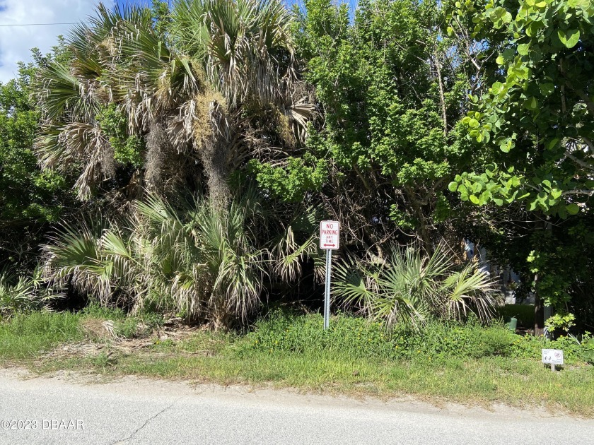 Vacant lot with views of Atlantic Ocean, across the street from - Beach Lot for sale in New Smyrna Beach, Florida on Beachhouse.com