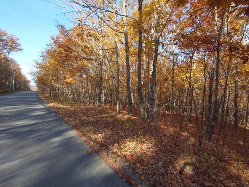 Pleasant, wooded 5+-acre lot offers privacy in a quiet rural - Beach Acreage for sale in Ellsworth, Maine on Beachhouse.com