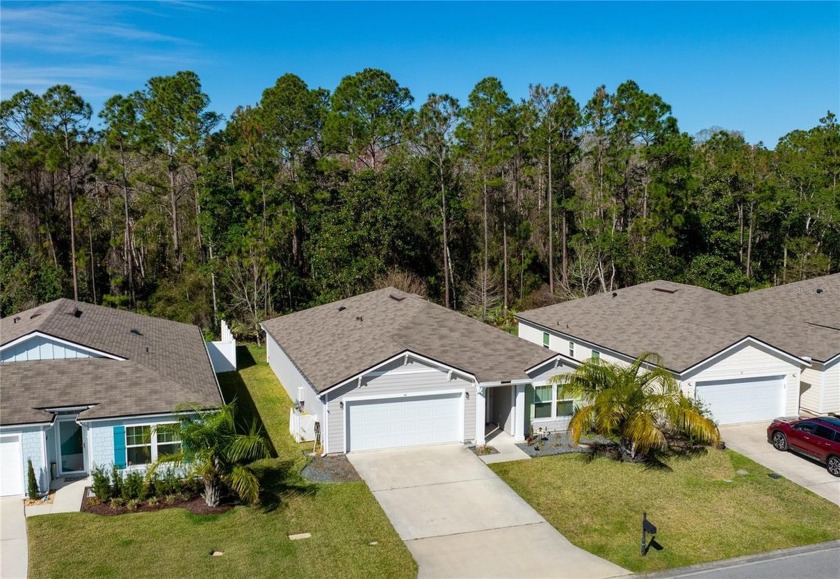 $270,402 Assumable Mortgage at 4.5%!! 
Grand Reserve; A Golf - Beach Home for sale in Bunnell, Florida on Beachhouse.com