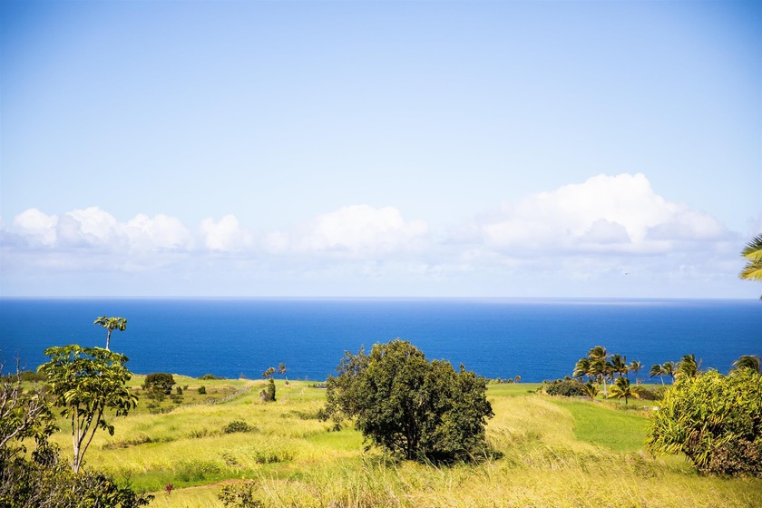 Exceptional 1.075-acre vacant land lot available in Ha'iku. This - Beach Lot for sale in Haiku, Hawaii on Beachhouse.com