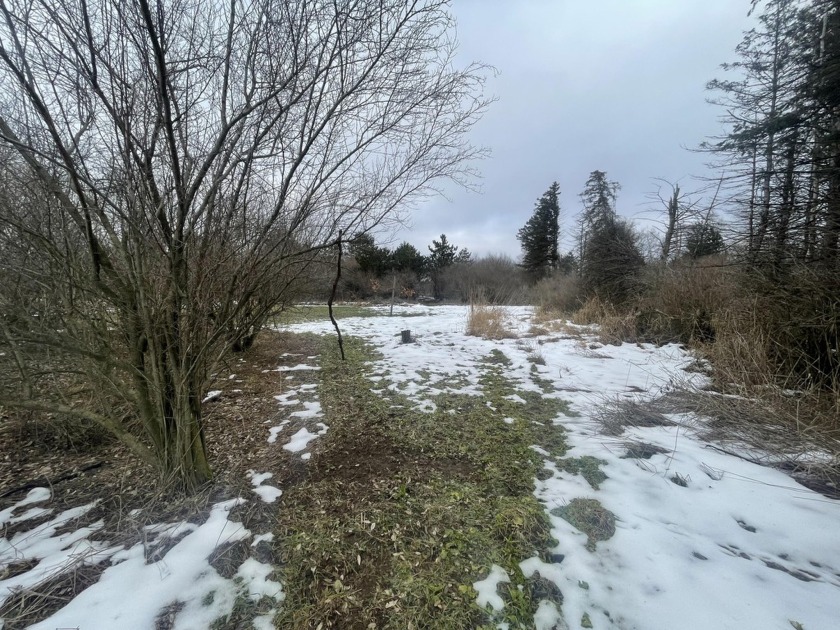 Check out this exceptional 10+/- acre property nestled in the - Beach Acreage for sale in Free Soil, Michigan on Beachhouse.com