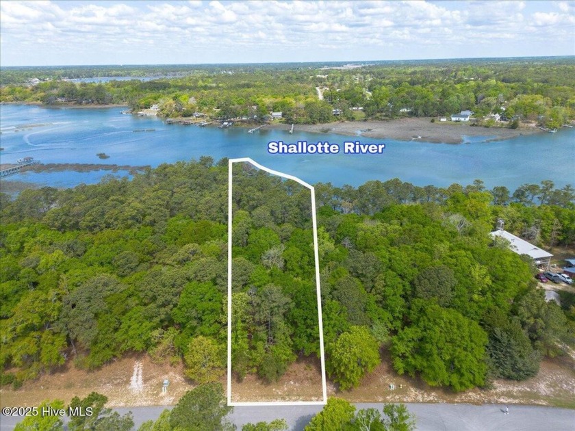 Come take a look at this stunning waterfront property in the - Beach Lot for sale in Supply, North Carolina on Beachhouse.com
