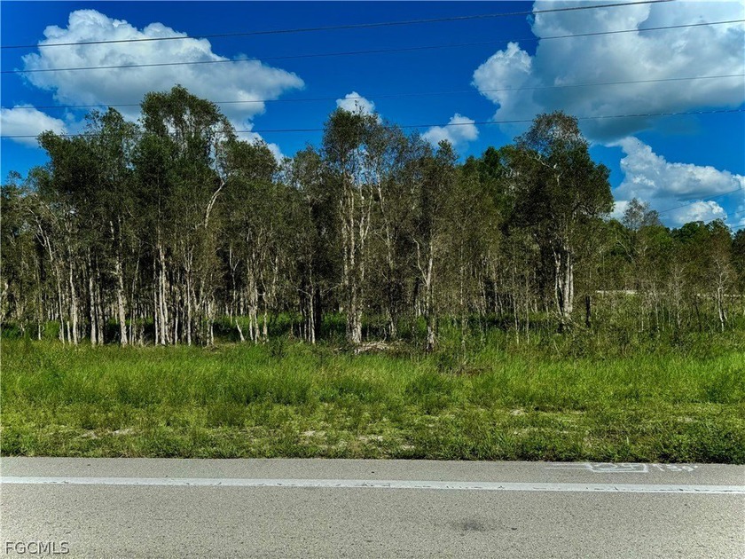 GREAT LOCATION on paved road with utilities available, very - Beach Lot for sale in Lehigh Acres, Florida on Beachhouse.com