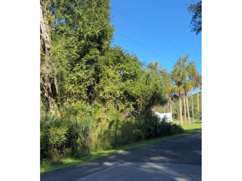 Two adjacent lots with over an acre of space to build your dream - Beach Lot for sale in Crystal River, Florida on Beachhouse.com