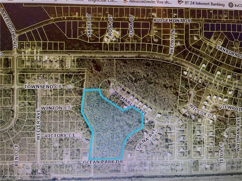 Greenbriar 13+ acres ready for developer - Beach Acreage for sale in Lehigh Acres, Florida on Beachhouse.com
