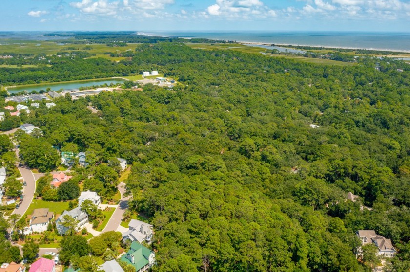 Nestled in the heart of Seabrook Island's natural beauty, this - Beach Lot for sale in Seabrook Island, South Carolina on Beachhouse.com
