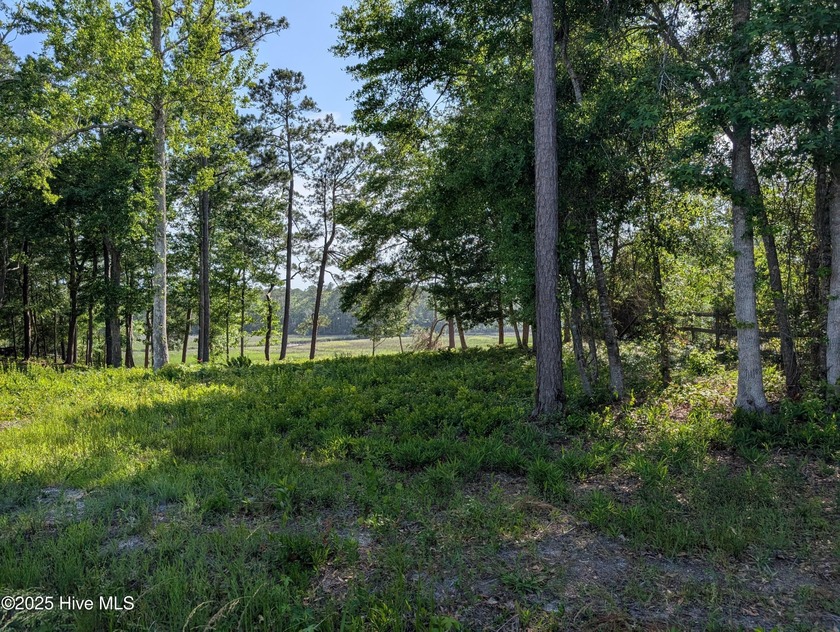 Discover the perfect blend of nature and convenience with this - Beach Lot for sale in Shallotte, North Carolina on Beachhouse.com