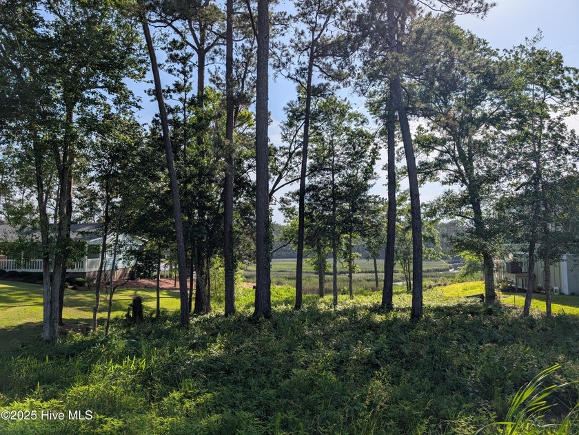 Discover the perfect blend of nature and convenience with this - Beach Lot for sale in Shallotte, North Carolina on Beachhouse.com