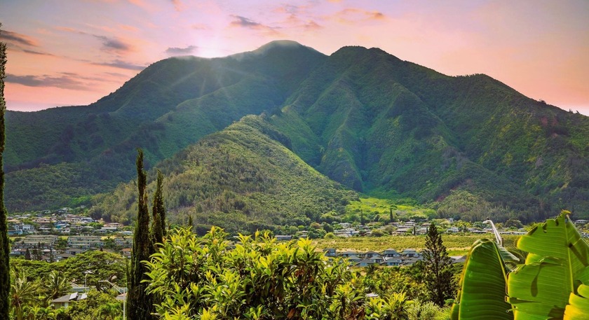 Welcome Home - A Rare Single-Level, Remodeled 3-Bedroom Retreat - Beach Condo for sale in Wailuku, Hawaii on Beachhouse.com