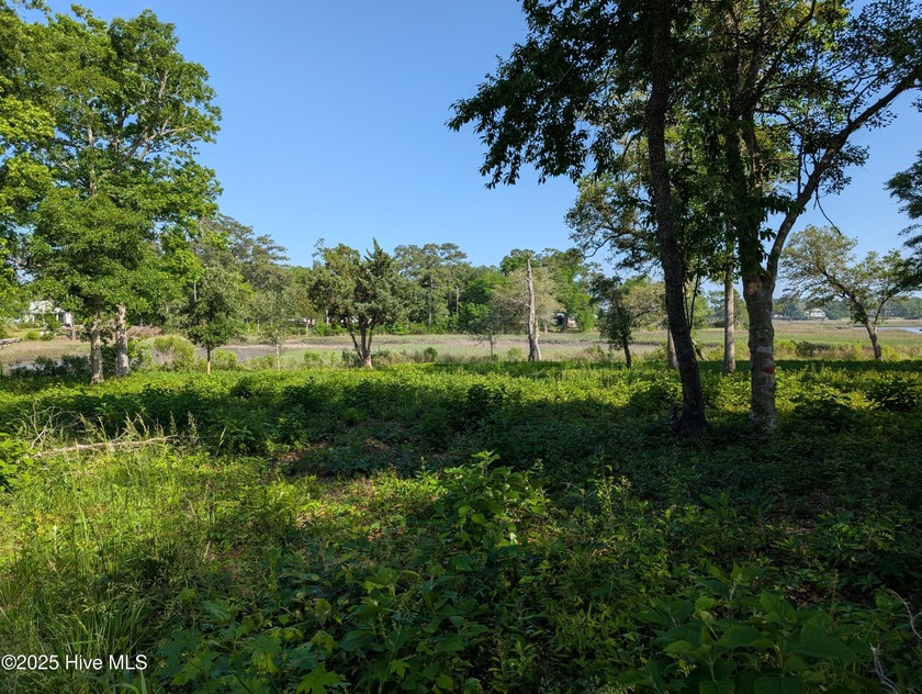 Discover the perfect blend of nature and convenience with this - Beach Lot for sale in Shallotte, North Carolina on Beachhouse.com