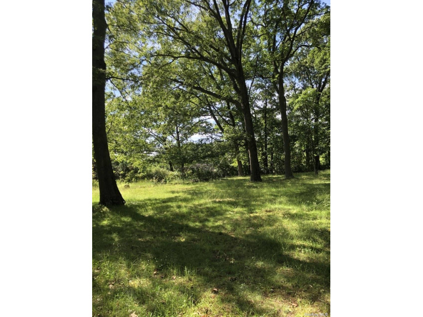 Beautiful Partially Wooded Building Lot.  Level with Retaining - Beach Lot for sale in Northport, New York on Beachhouse.com