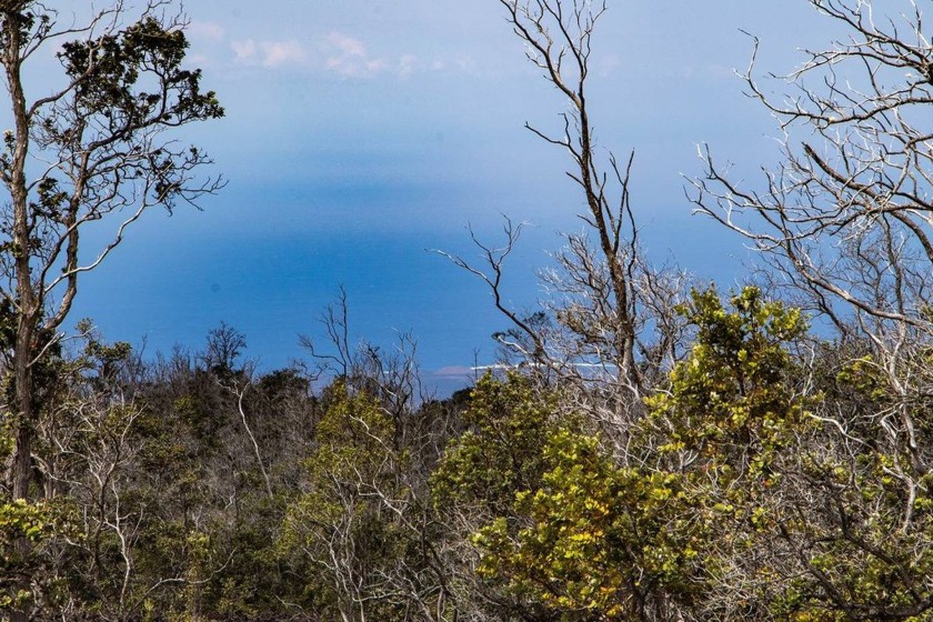 Build your dream home in upslope Ocean View! This one acre lot - Beach Lot for sale in Ocean View, Hawaii on Beachhouse.com