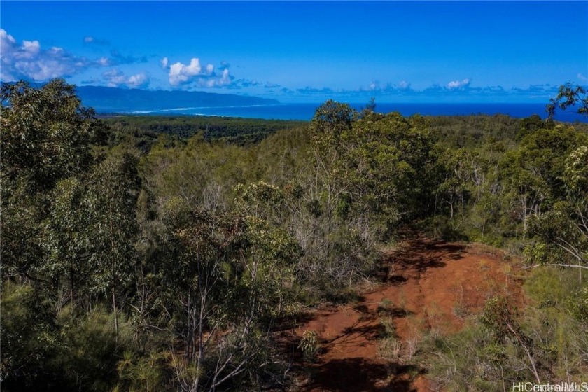 Among the last of its kind available, this undeveloped - Beach Acreage for sale in Haleiwa, Hawaii on Beachhouse.com