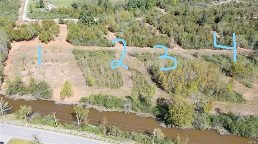7 Lots available on the Perch River tucked away in the woods! - Beach Acreage for sale in Dexter, New York on Beachhouse.com