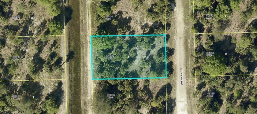 BUILD YOUR CUSTOM ON ON THIS OVERSIZED CANAL LOT WITH - Beach Lot for sale in Lehigh Acres, Florida on Beachhouse.com