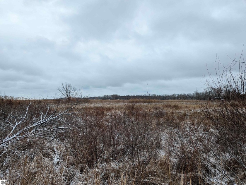 12.27 acres of recreational open land located not far from the - Beach Acreage for sale in Au Gres, Michigan on Beachhouse.com