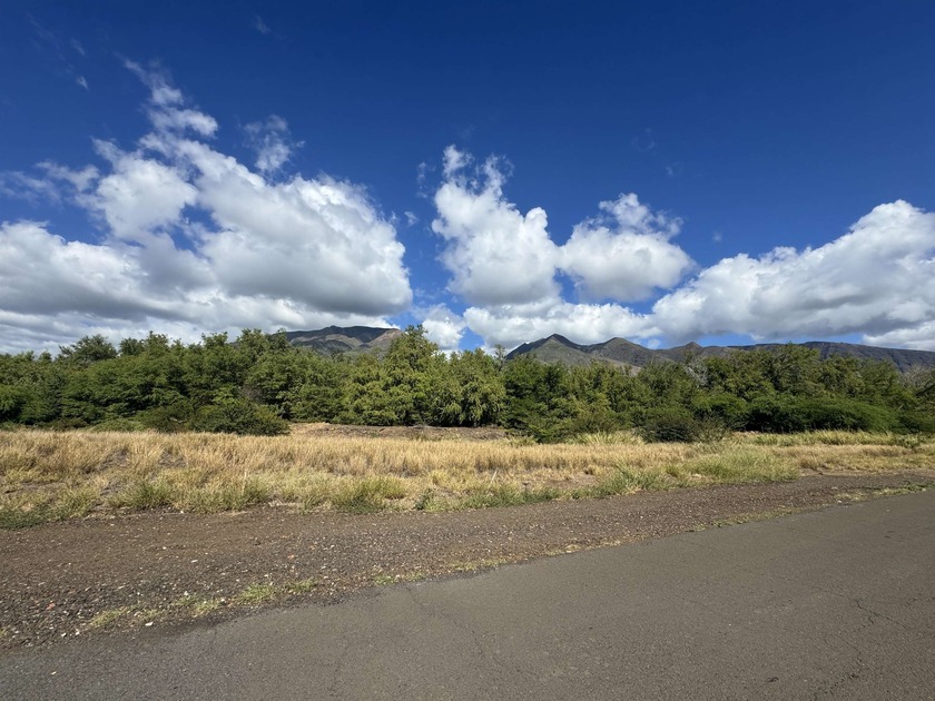 Awesome level 4.7 acre parcel with filtered views of the ocean - Beach Acreage for sale in Lahaina, Hawaii on Beachhouse.com