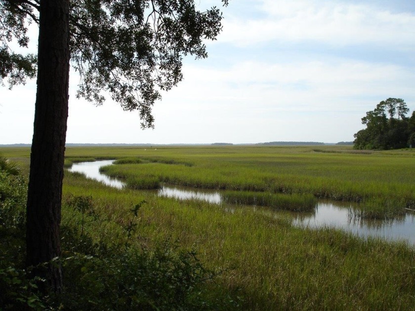 Looking for a discrete haven to soak in waterfront nature at its - Beach Lot for sale in Fernandina Beach, Florida on Beachhouse.com