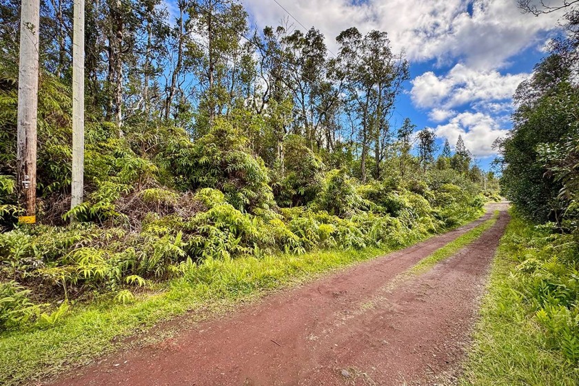 Beautiful wooded lot on Hilo Rd. just a short jog from the - Beach Lot for sale in Pahoa, Hawaii on Beachhouse.com