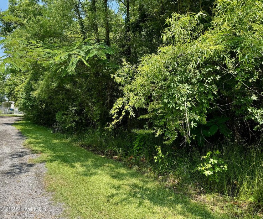 Three Side-by-Side Lots in Water Access Community - Lightly - Beach Lot for sale in Edenton, North Carolina on Beachhouse.com