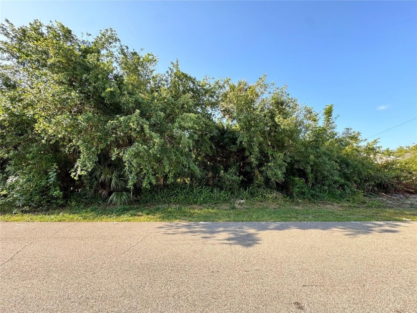 Vacant Lot - Great Location in Port Charlotte!

Build your - Beach Lot for sale in Port Charlotte, Florida on Beachhouse.com