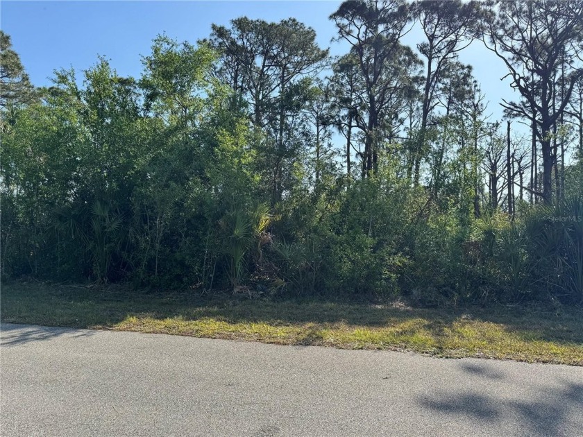 Prime Buildable Lot in Desirable Port Charlotte! 

Welcome to - Beach Lot for sale in Port Charlotte, Florida on Beachhouse.com