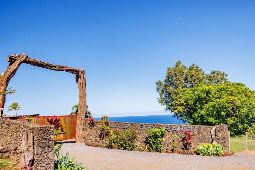 Rare 180? Ocean View Estate -- Where the Ocean Meets the - Beach Acreage for sale in Haiku, Hawaii on Beachhouse.com