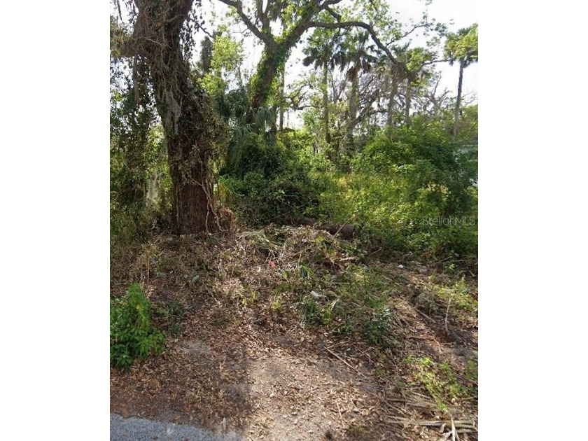 Opportunity to own approximately 0.12 acres of buildable vacant - Beach Lot for sale in Daytona Beach, Florida on Beachhouse.com