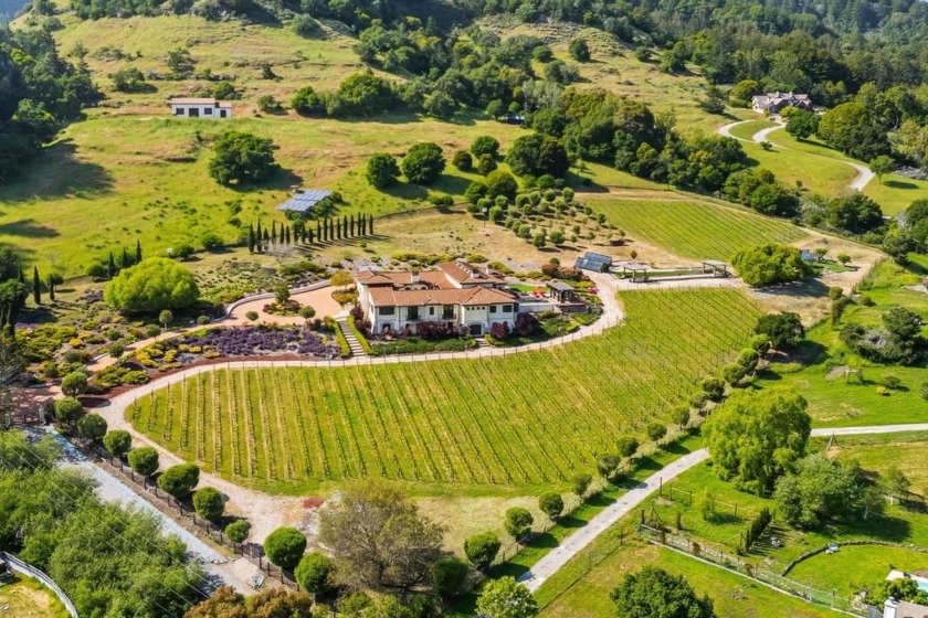Nestled in a meadow & surrounded by over 21 acres of natural - Beach Home for sale in Santa Cruz, California on Beachhouse.com