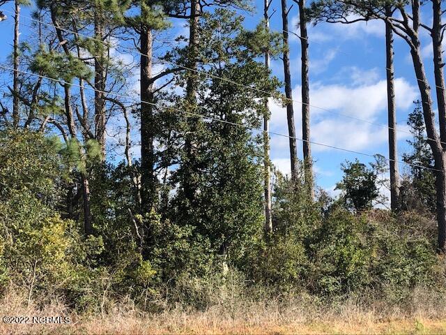 Imagine the possibilities owning 3.03 acres in this quaint - Beach Acreage for sale in Marshallberg, North Carolina on Beachhouse.com