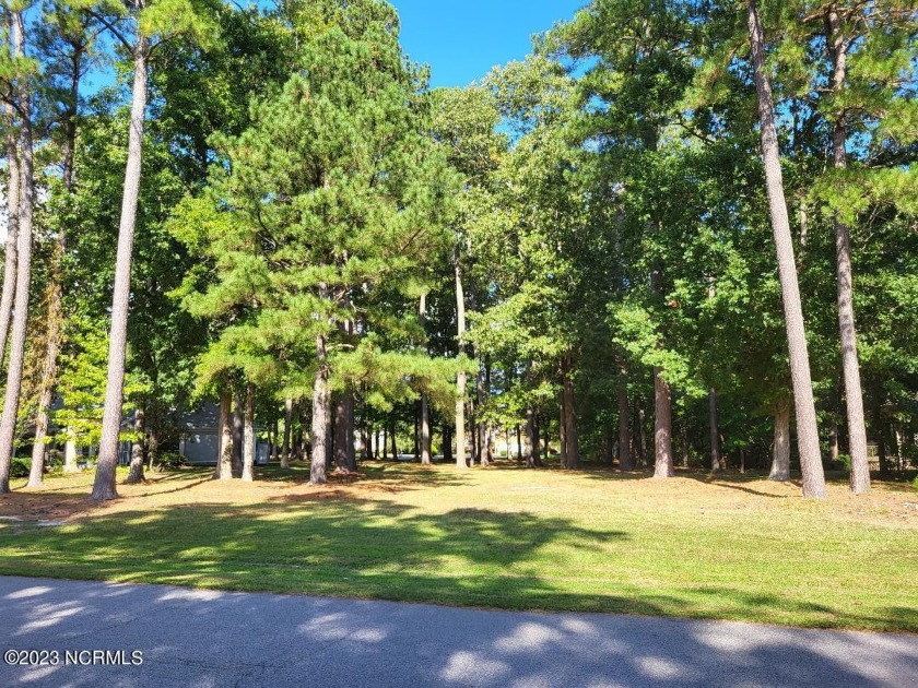 Beautiful, wooded lot suitable to build your dream home in - Beach Lot for sale in Hertford, North Carolina on Beachhouse.com