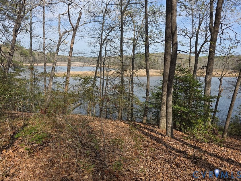 Discover your own private sanctuary on this stunning 14.41-acre - Beach Acreage for sale in Warsaw, Virginia on Beachhouse.com