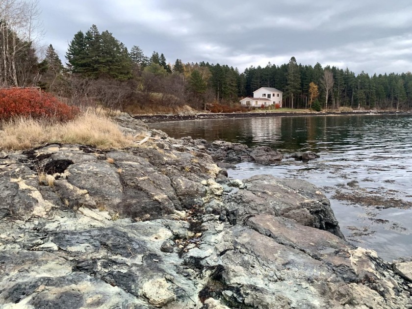 Privacy, oceanfront and an abundance of land -   a combination - Beach Home for sale in Eastport, Maine on Beachhouse.com