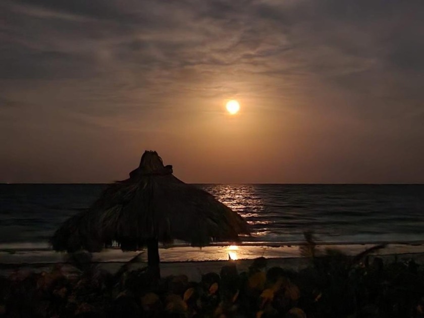 Beachside Living at its best!  20 shares available. Don't miss - Beach Home for sale in Boynton Beach, Florida on Beachhouse.com